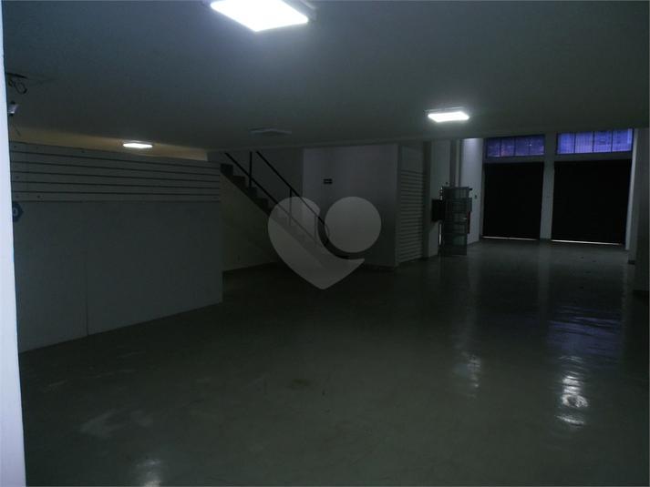Foto REO16387