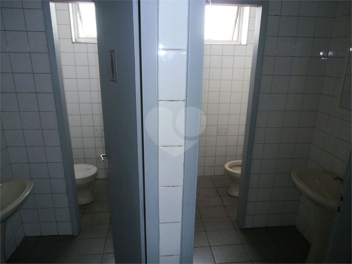 Foto REO16387