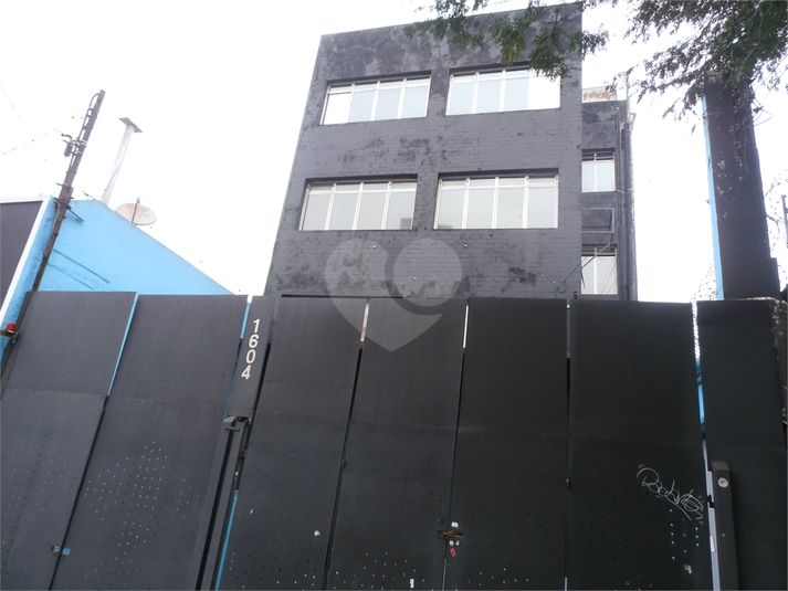 Foto REO16387