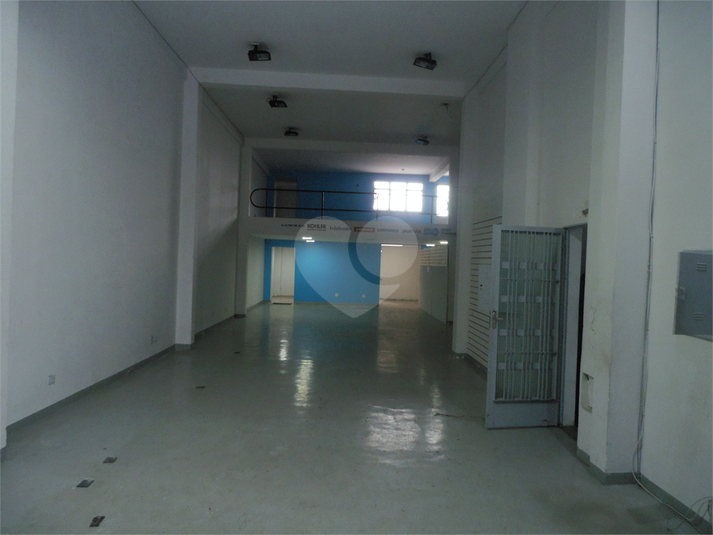 Foto REO16387