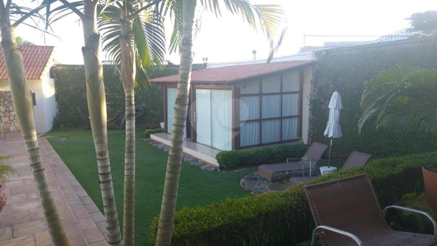 Foto REO164449