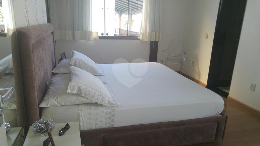 Foto REO164449