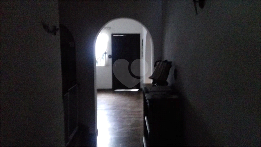 Foto REO16461