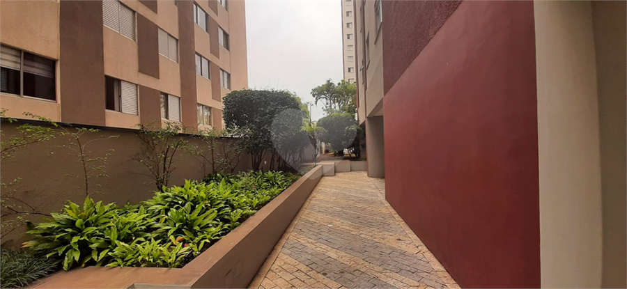 Foto REO164852