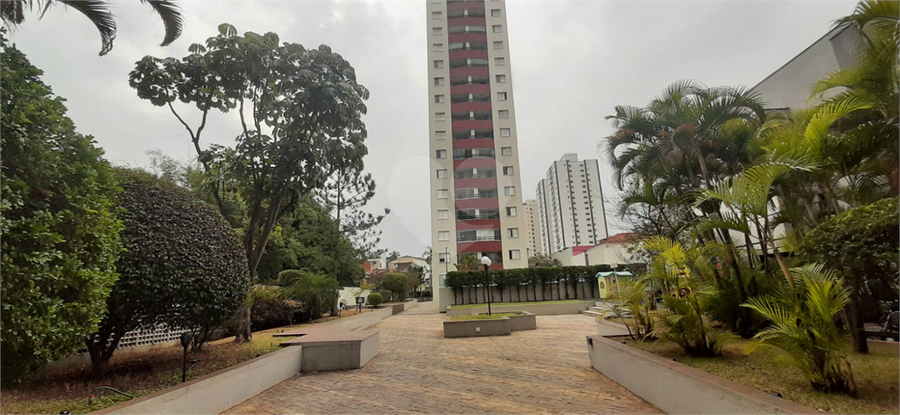 Foto REO164852