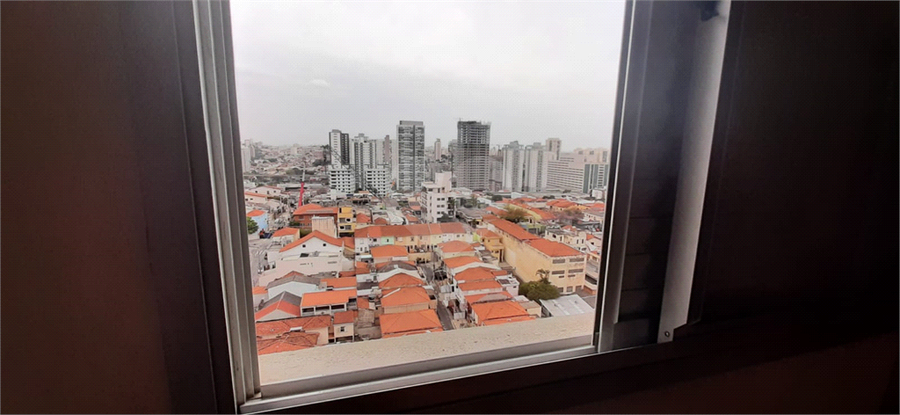 Foto REO164852