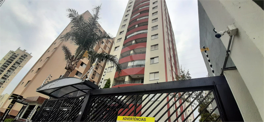 Foto REO164852