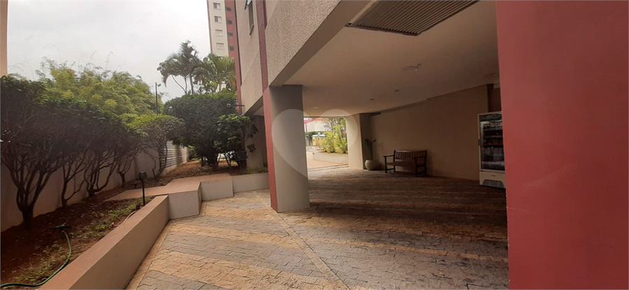 Foto REO164852
