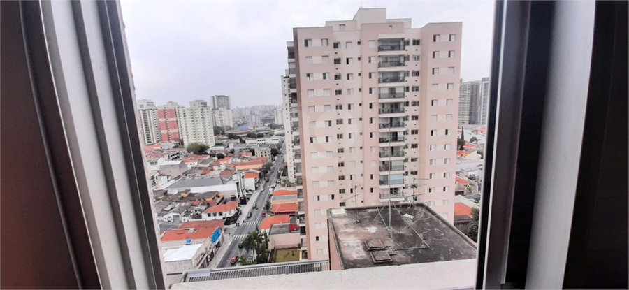Foto REO164852