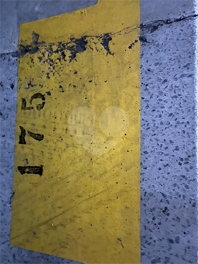 Foto REO164925