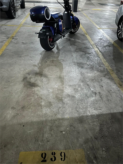 Foto REO164925