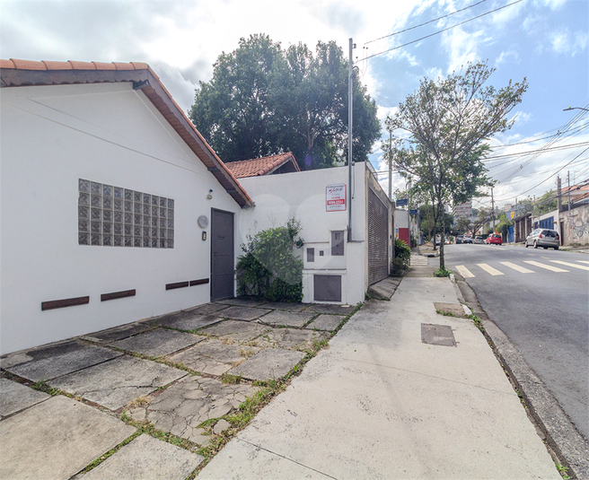 Foto REO164949