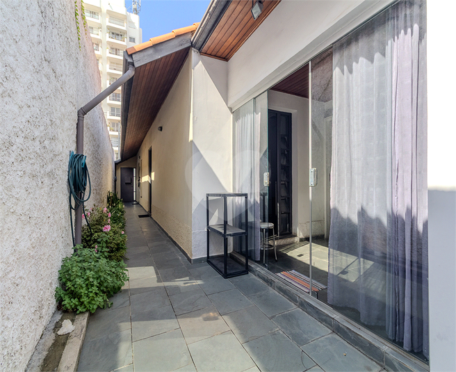 Foto REO164949