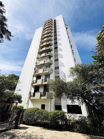 Aluguel Apartamento São Paulo Vila Madalena REO165017 17