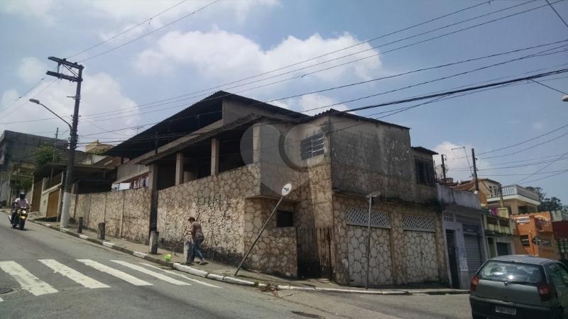 Foto REO165484