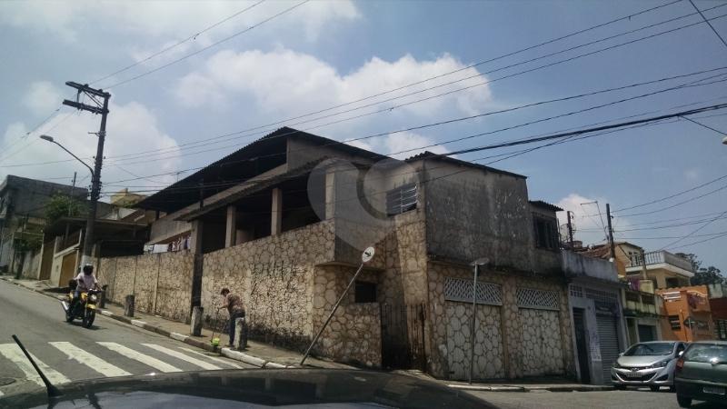 Foto REO165484
