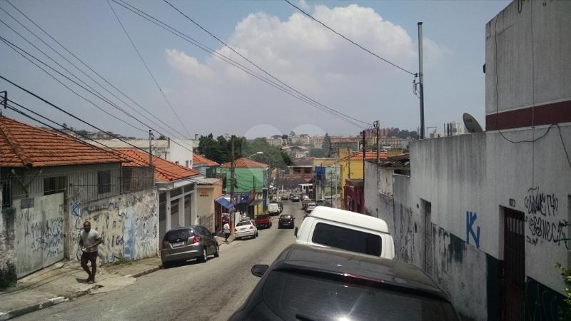Foto REO165484