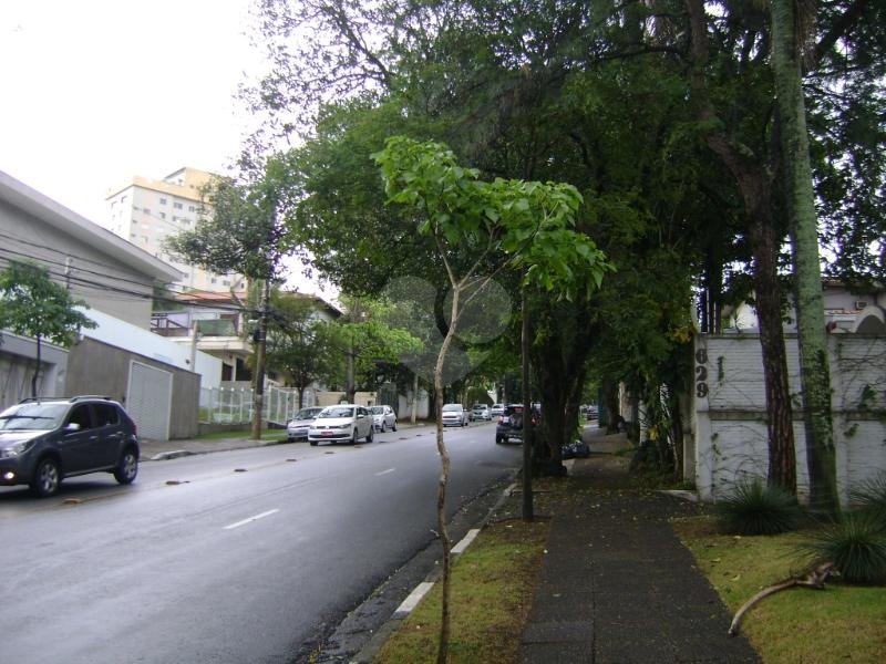 Aluguel Terreno São Paulo Vila Ida REO165568 6