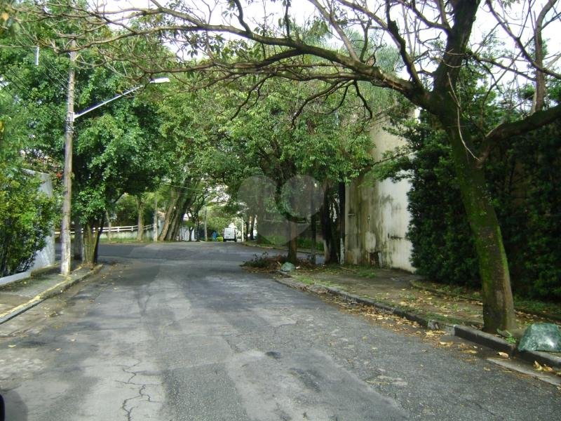 Aluguel Terreno São Paulo Vila Ida REO165568 6