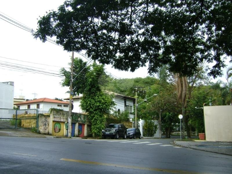 Aluguel Terreno São Paulo Vila Ida REO165568 4