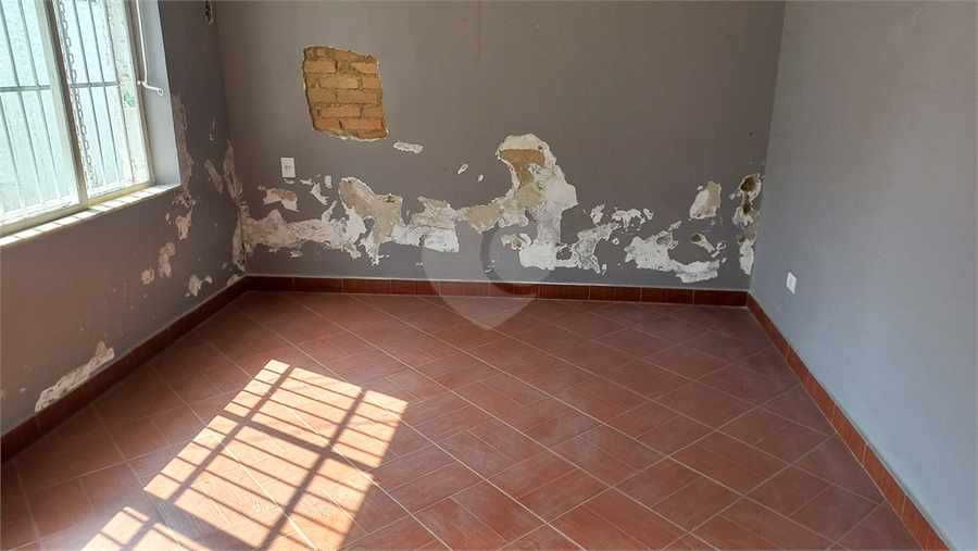 Foto REO165639