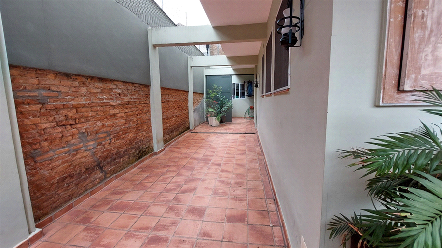 Foto REO16589