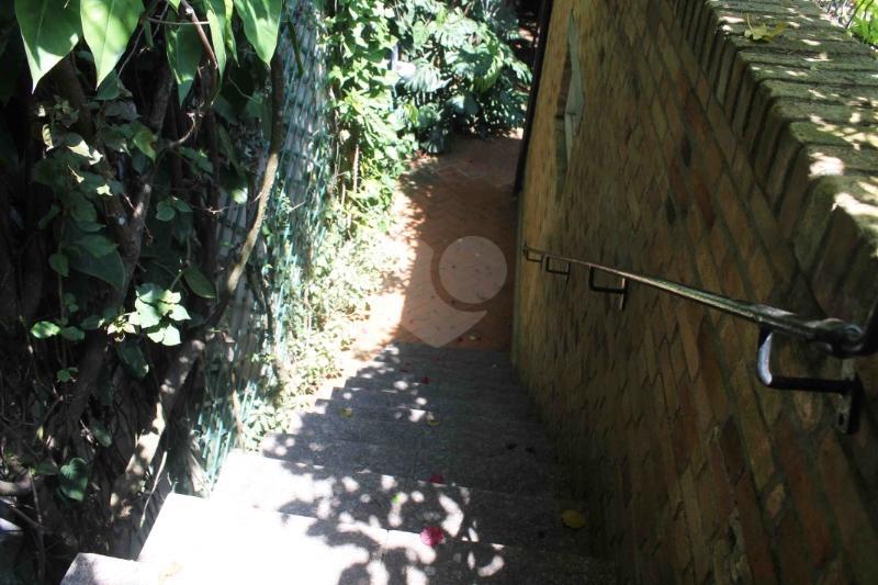 Foto REO166144