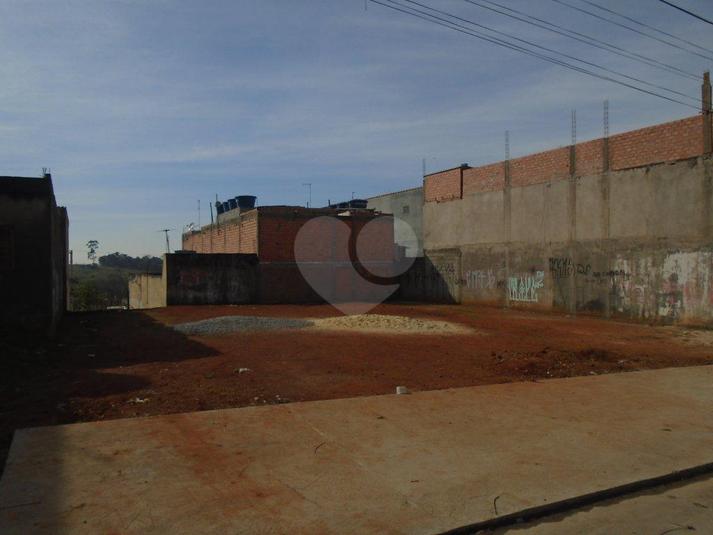 Foto REO166358