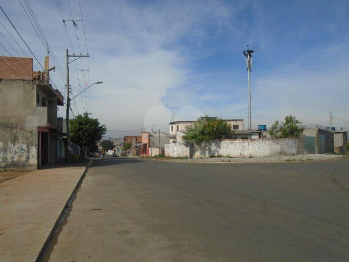 Foto REO166358