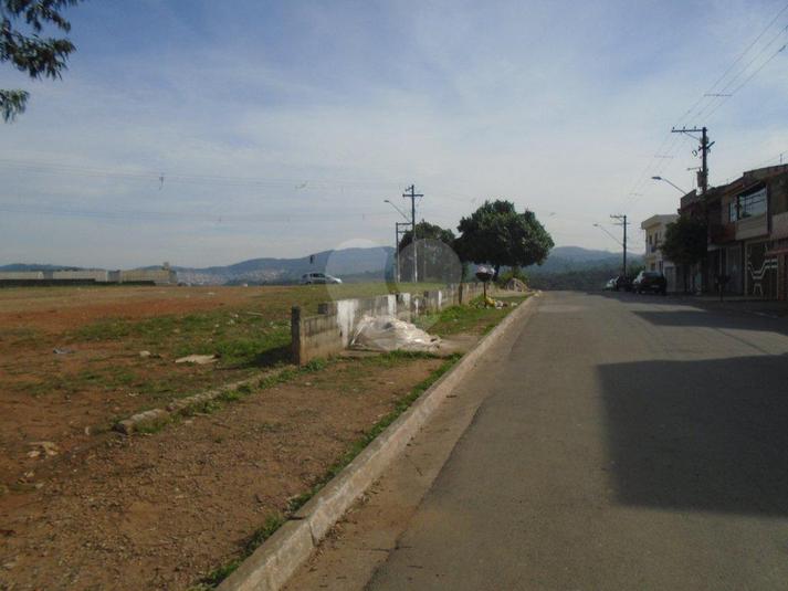 Foto REO166358