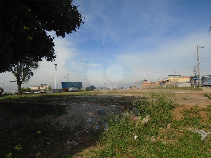 Foto REO166358