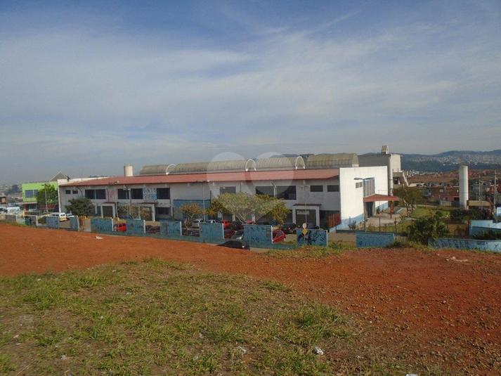 Foto REO166358