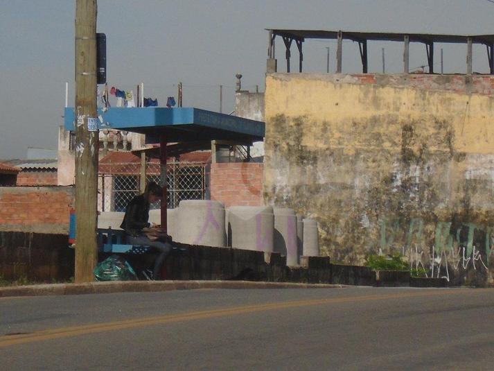 Foto REO166358