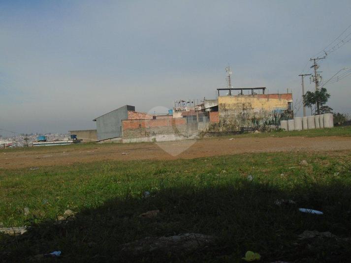 Foto REO166358