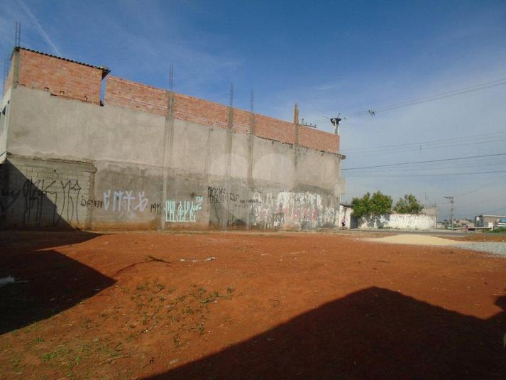 Foto REO166358