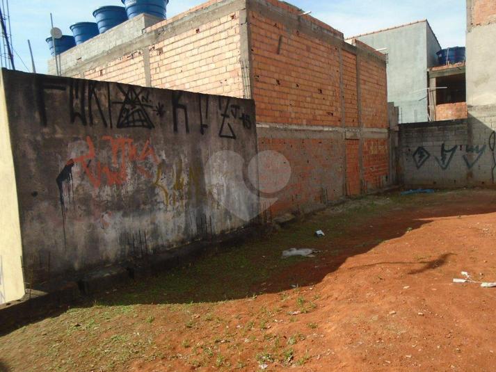 Foto REO166358