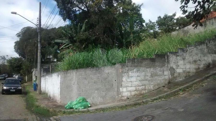 Foto REO166416