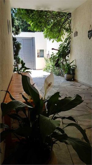 Foto REO16645