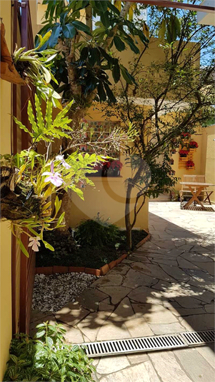 Foto REO16645