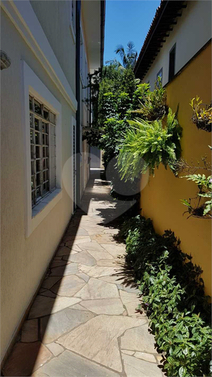 Foto REO16645