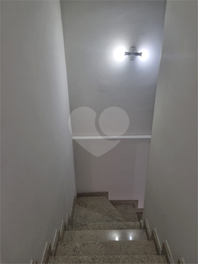 Foto REO166468
