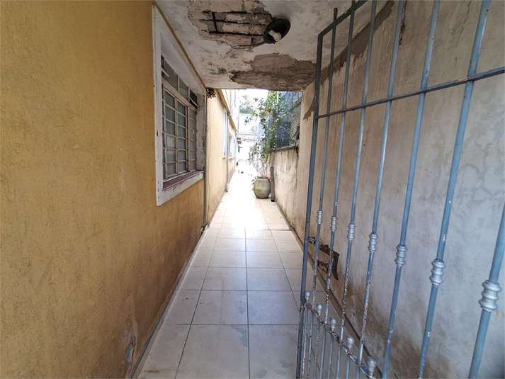 Foto REO166536