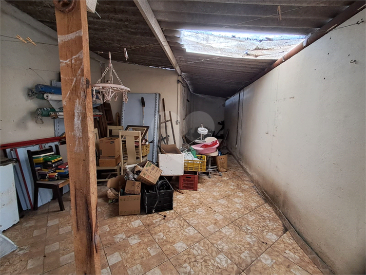 Foto REO166536