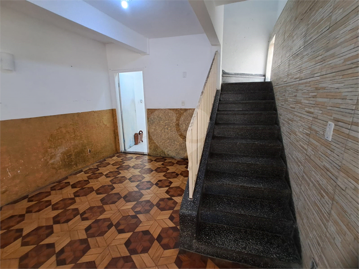 Foto REO166536