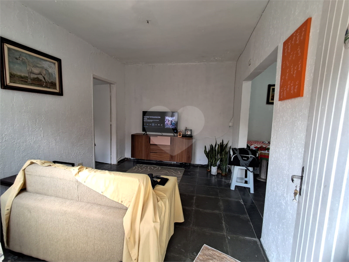 Foto REO166536