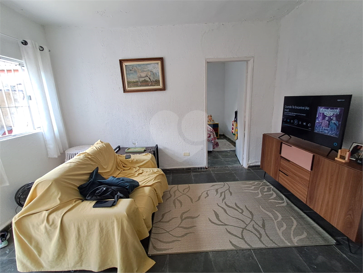 Foto REO166536