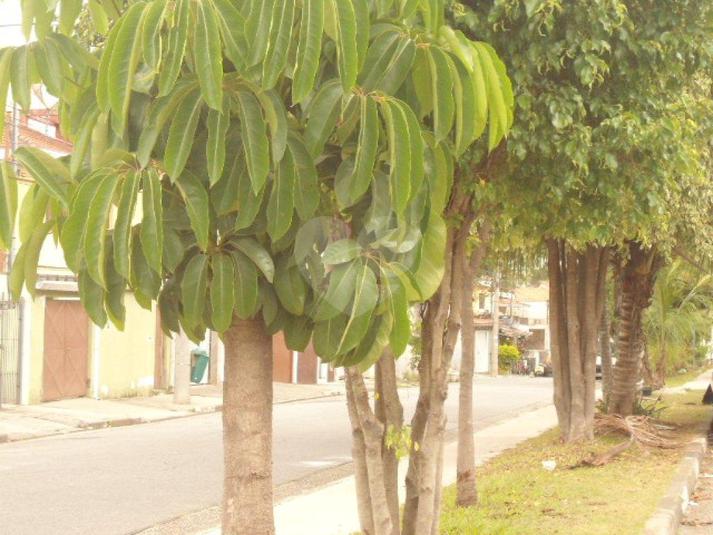 Venda Terreno São Paulo Vila Isolina Mazzei REO166554 5