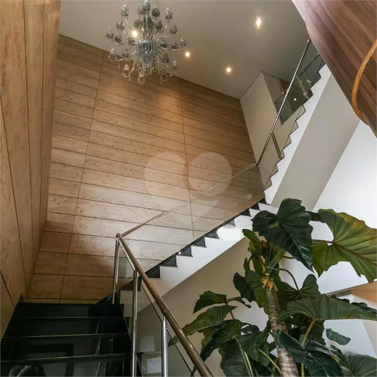 Foto REO166577