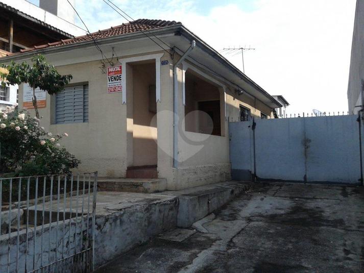 Foto REO166636