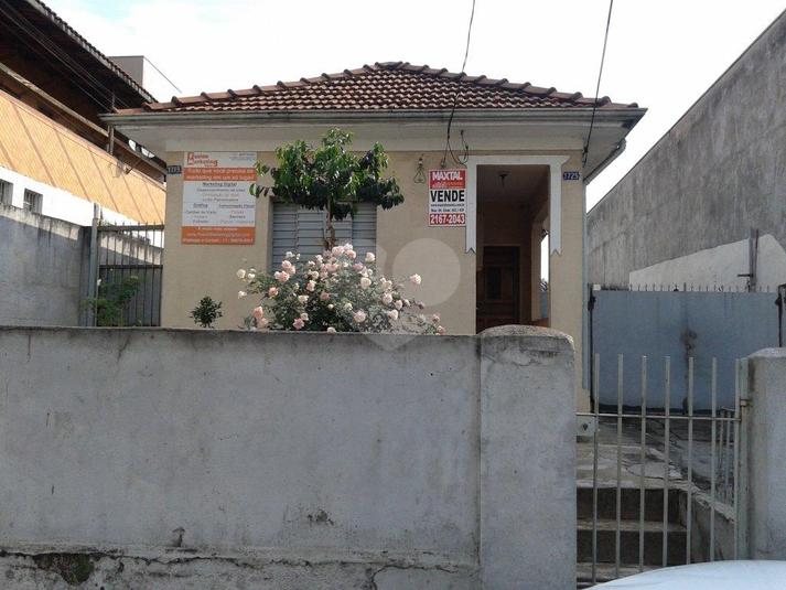Foto REO166636